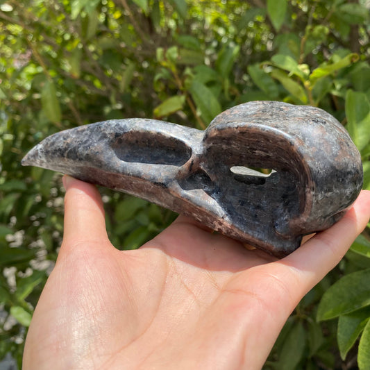 Yooperlite Raven Head1
