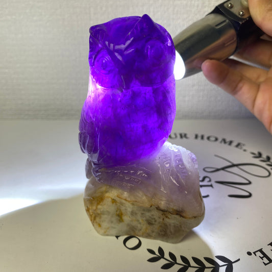 Amethyst Owl