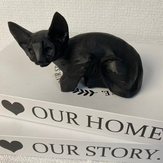 Black Obsidian Cat