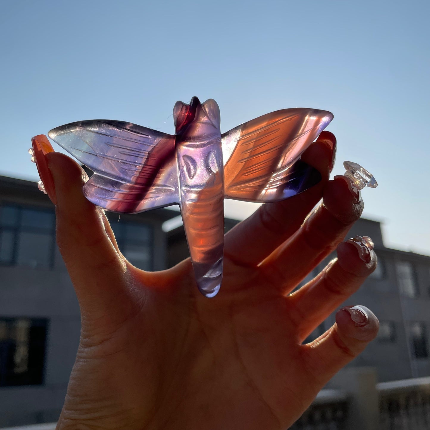 Fluorite Dragonfly