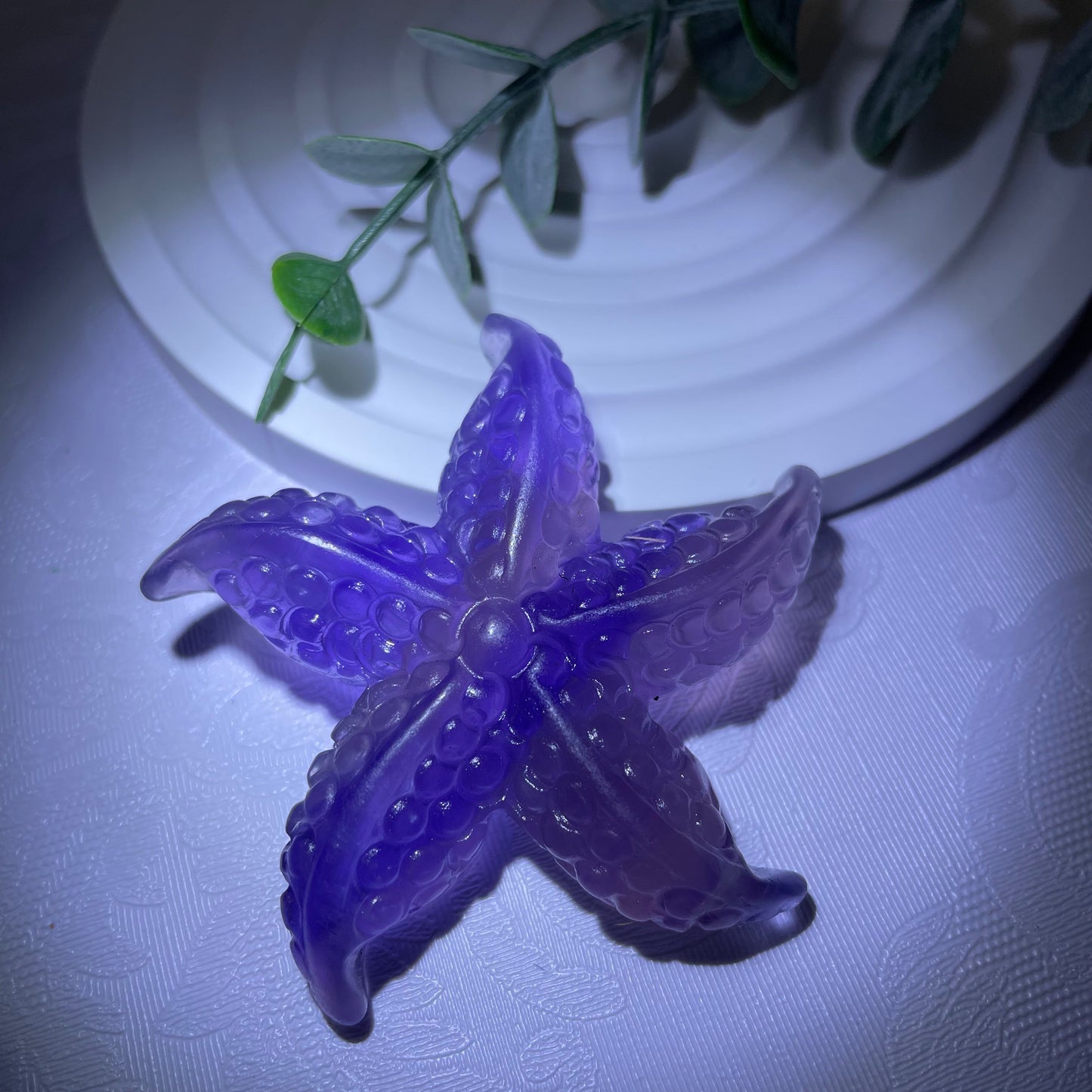 Fluorite Starfish