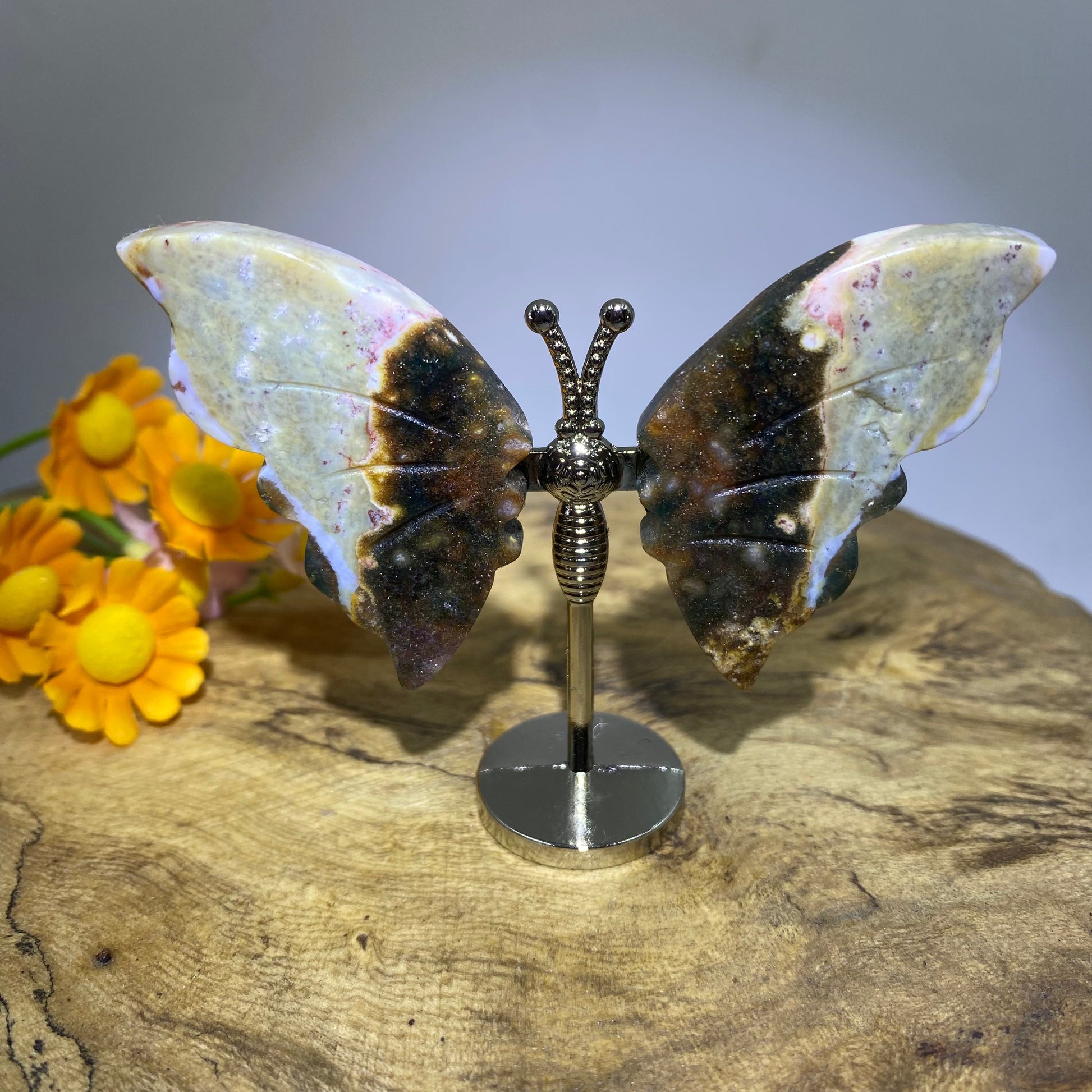 Ocean Jasper Butterfly