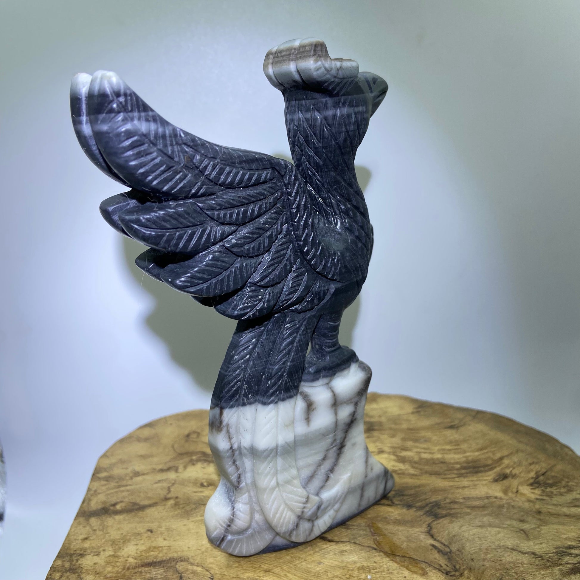 Taichi Jasper Phoenix1