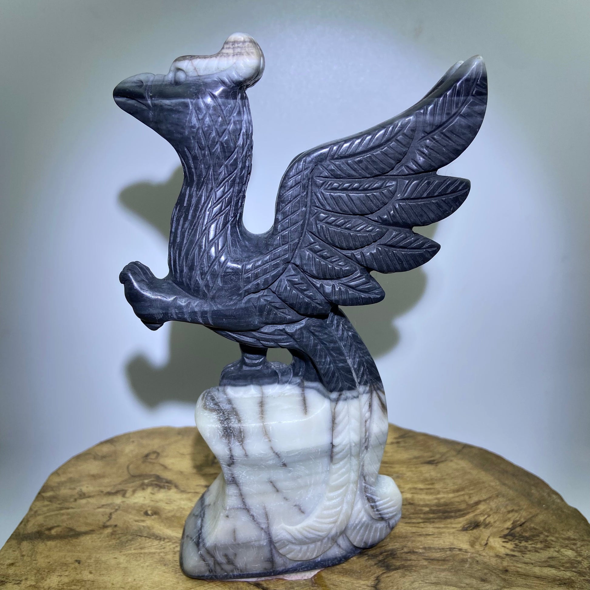 Taichi Jasper Phoenix2