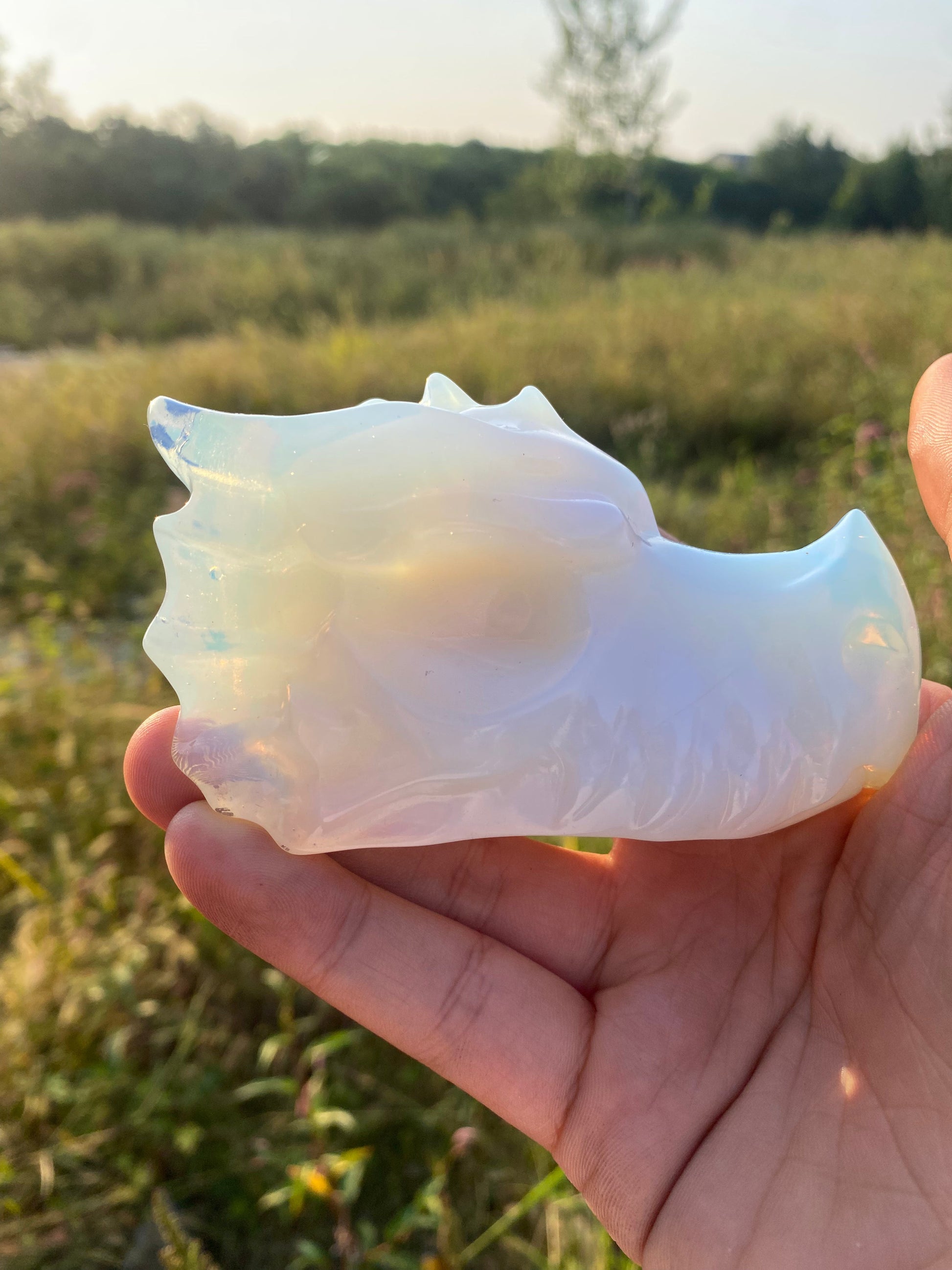White Opal Dragon Head3
