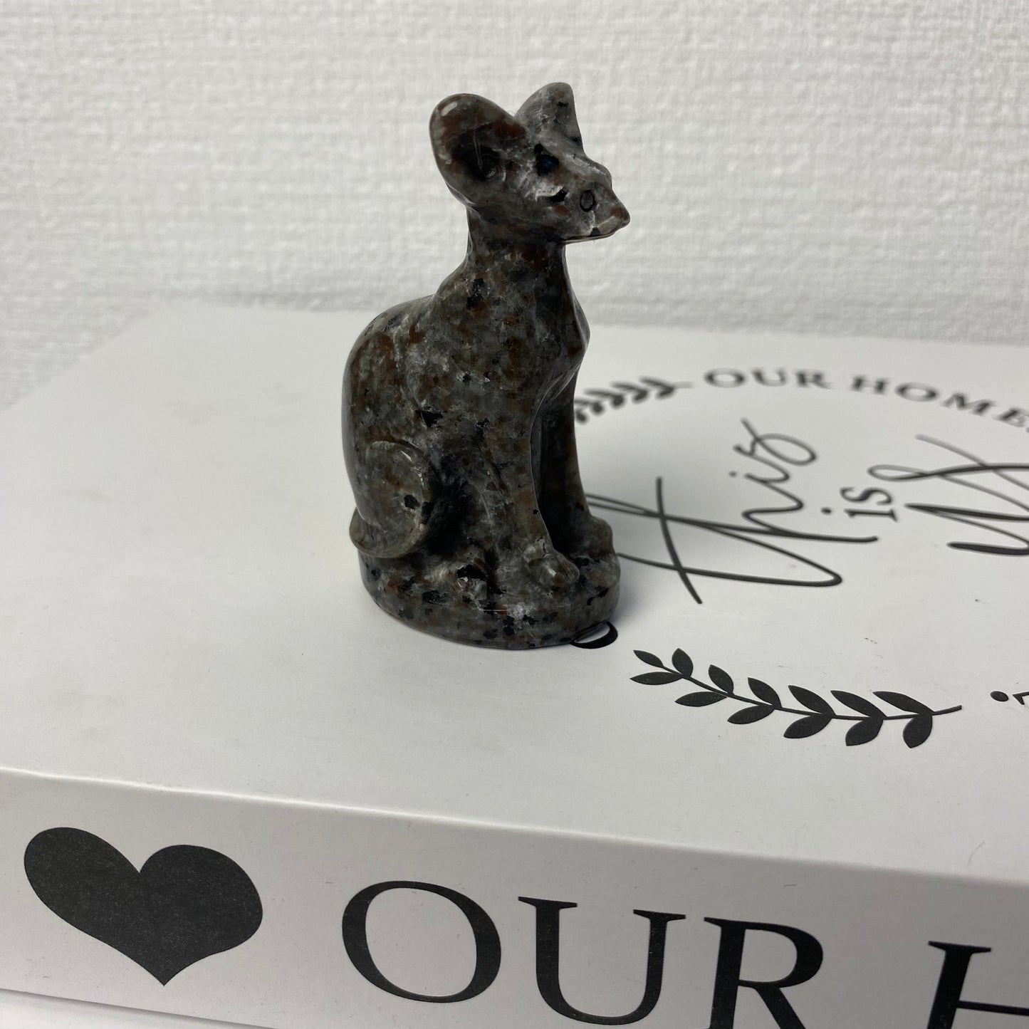 Yooperlite Hairless Cat