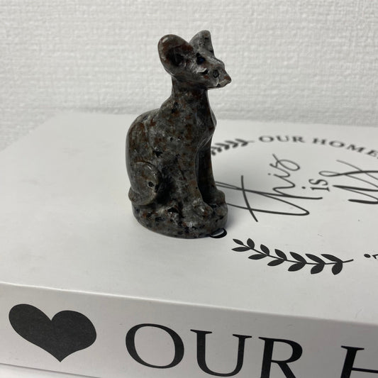 Yooperlite Hairless Cat