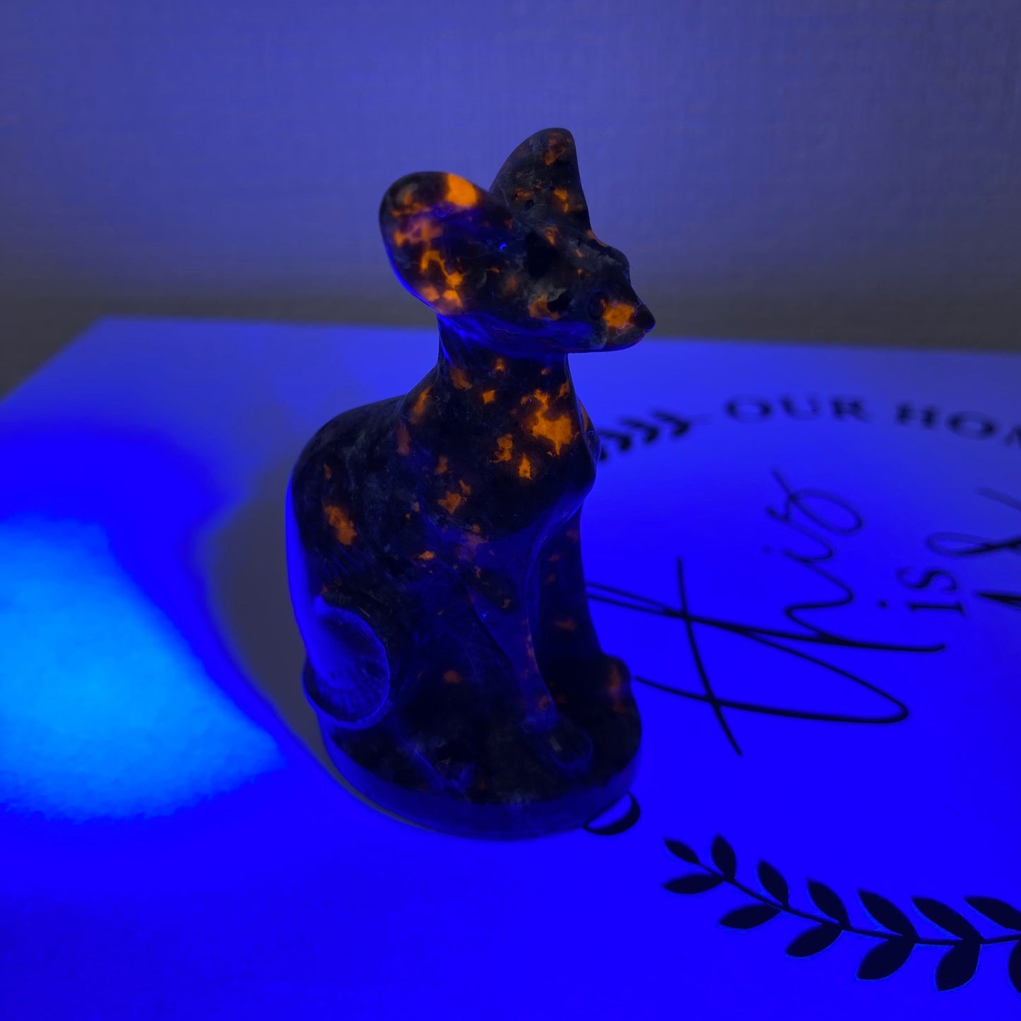 Yooperlite Hairless Cat