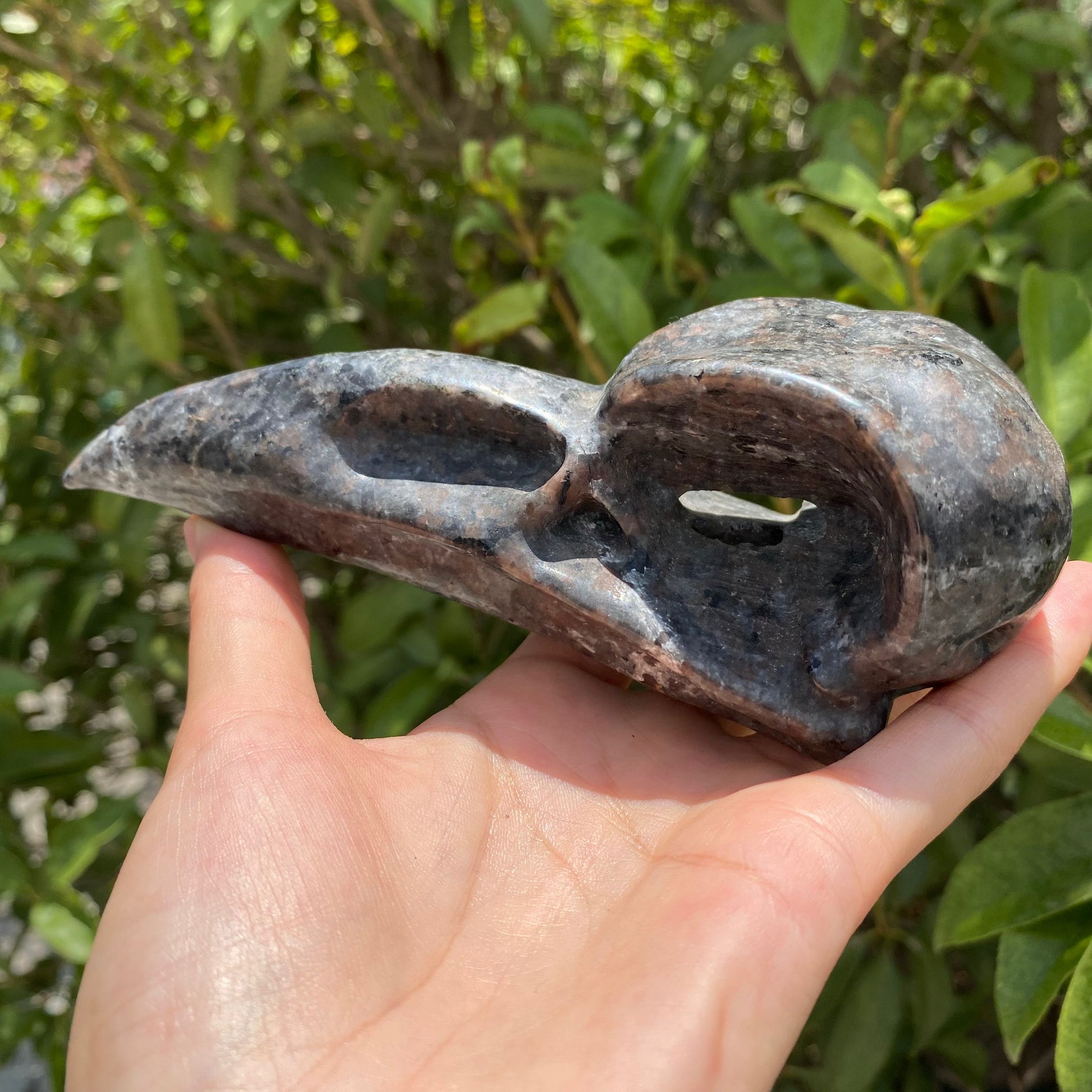 Yooperlite Raven Head1