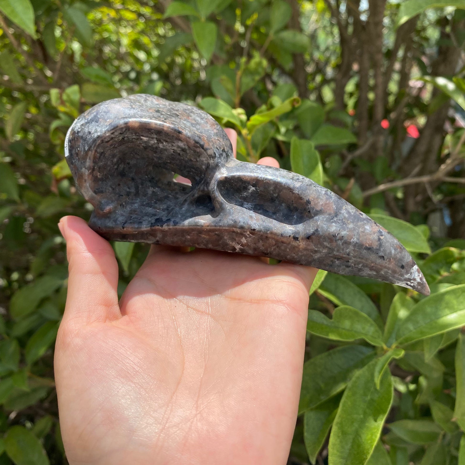 Yooperlite Raven Head2